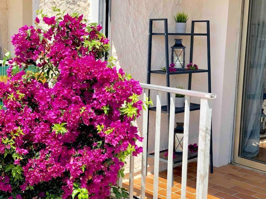 2 Min De La Plage, Parking, Terrasse & Wifi! * Six-Fours-les-Plages